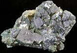 Lustrous Galena Crystal Cluster- Bulgaria #41751-1
